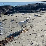 Bay ホテル